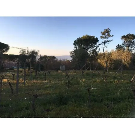 Casa vacanze Il Boschetto